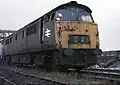Western Duke in rail blue livery
