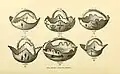 Zuni clay baskets