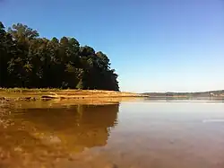 A view from Lake Hartwell of the Clemson University Forest
