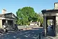 Cleveland Bridge hybrid elm, Bath (2012)