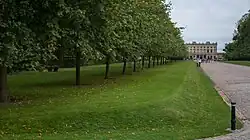 The avenue leading up to the house