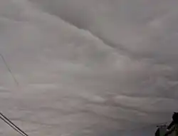 Stratocumulus undulatus asperitas clouds, seen from Earth