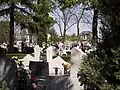 Cemetery