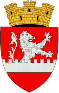 Official seal of Leova