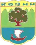 Kozyn