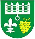 Coat of arms of Diváky