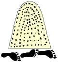Official seal of Tizayuca