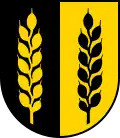 Coat of arms of Wittinsburg