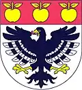 Coat of arms of Nechvalice