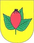 Coat of arms of Nesuchyně