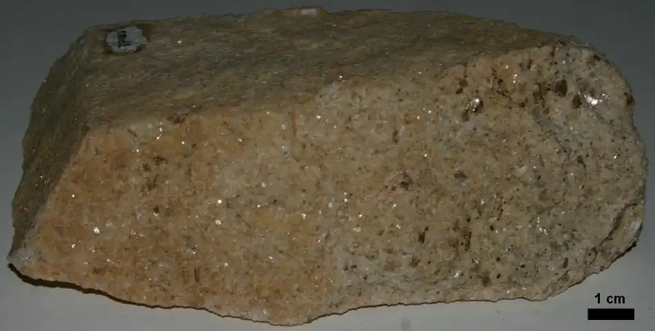 Sample of Massive Metadolostone Member of Cockeysville Marble, from old quarry near Lower Dam of Loch Raven Reservoir, Baltimore County, Maryland