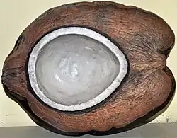 The niu vai form of domesticated Pacific coconuts, selected for more meat and water, and less husk