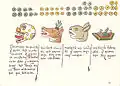 Calendrical signs for the days 9 Death, 10 Deer, 11 Rabbit and 12 Water. (Folio 12r)