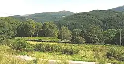 Coed Dolmelynllyn woodlands from Berth-lwyd