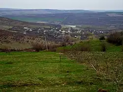 View of area from afar
