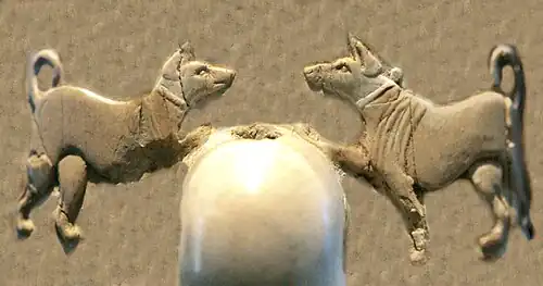 Collar-wearing domestic dogs (Back, 2nd register, around the knob).[37][38]