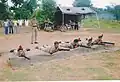 ncc camp