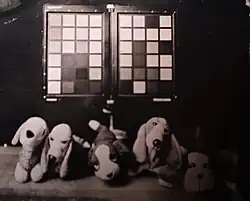 Collodion image of color checker
