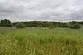 Colne