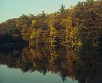 Lake