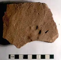 Tile with a dog's paw-print on it