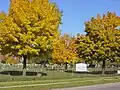 Concordia Cemetery