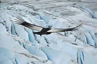 At Torres del Paine National Park, Chile