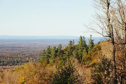 A burst of conferous and white pine trees as seen from Mount Arvon