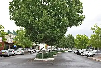 Main street