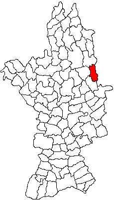 Location in Olt County