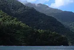 Tropical rainforest climate in Paria Peninsula