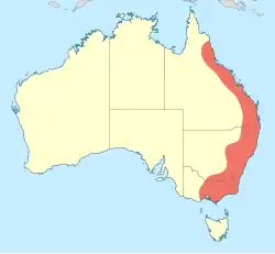 A map of eastern Australia showing a scattered distribution along the coastal ranges from Queensland to New South Wales.