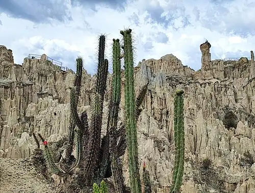 Habitat in La Paz, Bolivia