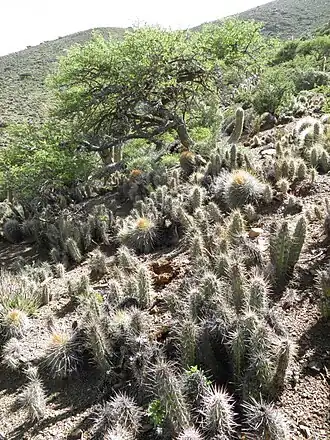 Habitat in Chayaza, Bolivia