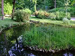 Cotroceni gardens