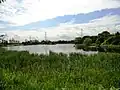 Cowpen Bewley Country Park