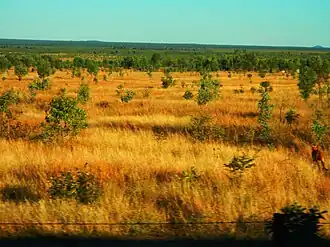 Campaspe landscape, 2013