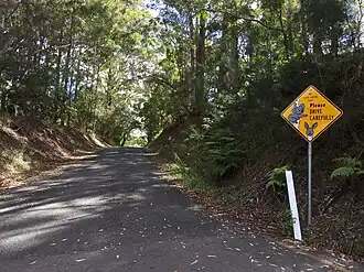 Coveys Rd, Tinbeerwah, 2016