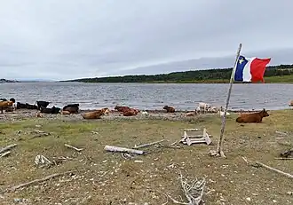Acadian flag in Chéticamp