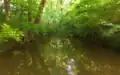 Crabtree Creek in Morrisville