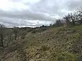 Crecy Hill