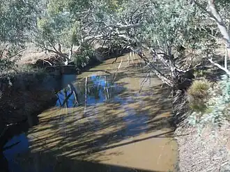 Creek in Womallila, 2013