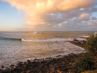 Surfers at Crescent Head