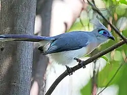 At San Diego Zoo