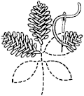Cretan stitch