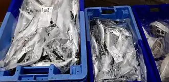 Fish stored in cold room after weighing and labeling.