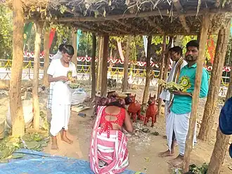 Baha Festival