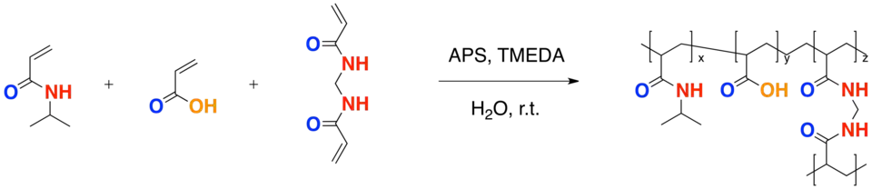 Crosslinked Hydrogel Polymerization of PNIPA