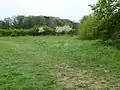 Crowfields Common