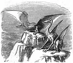Illustration of same